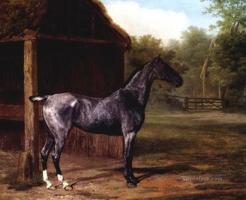 Caballo Painting - dw019fD11 animales caballos